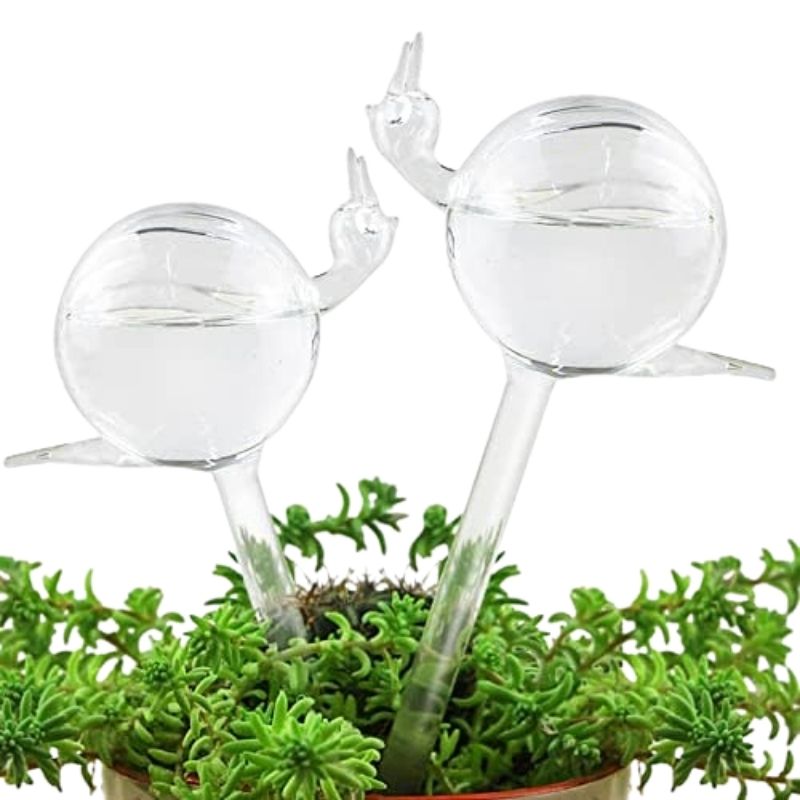 Glass Self-Watering Plant Bulb (Set)