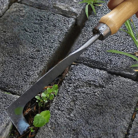 Precision Crevice Weeder & Slicing Tool