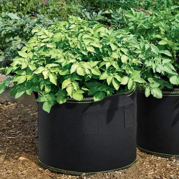 Breathable Fabric Grow Pots with Handles