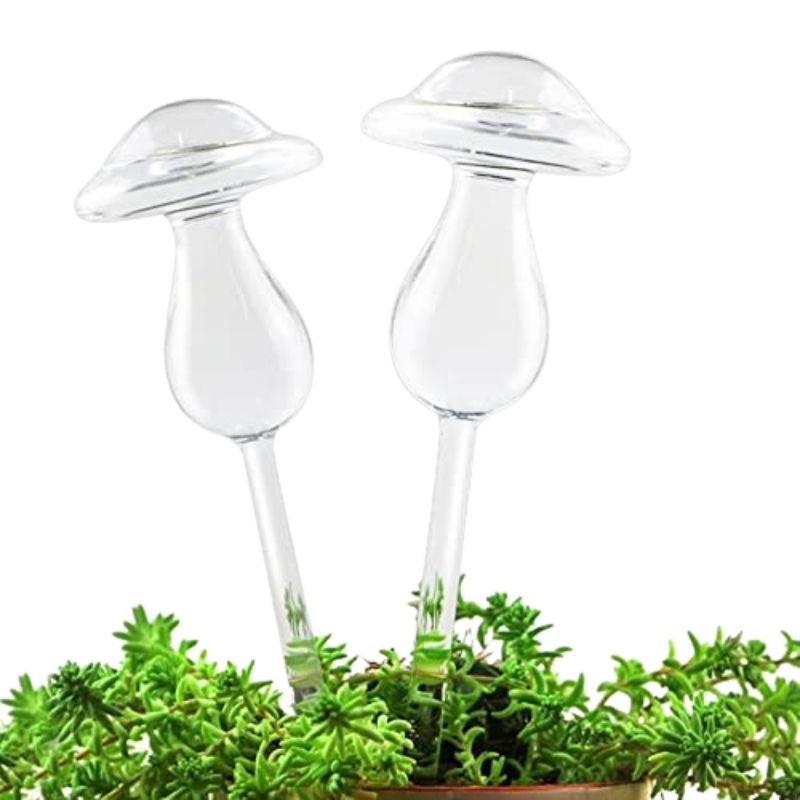 Glass Self-Watering Plant Bulb (Set)