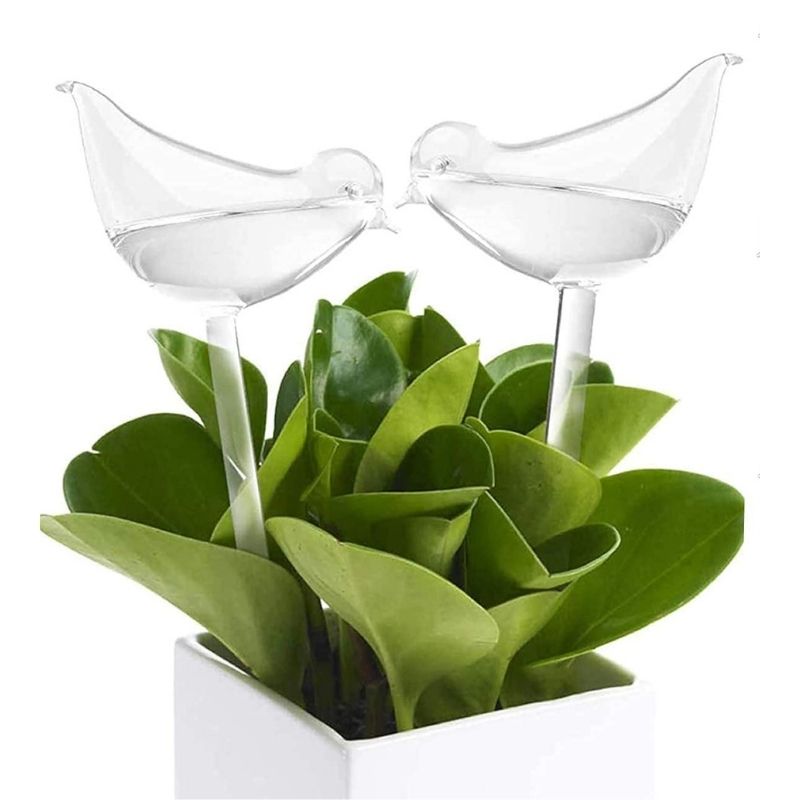 Glass Self-Watering Plant Bulb (Set)
