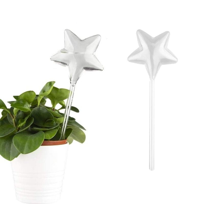 Glass Self-Watering Plant Bulb (Set)