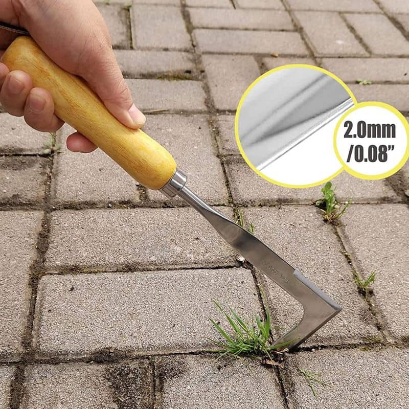 Precision Crevice Weeder & Slicing Tool