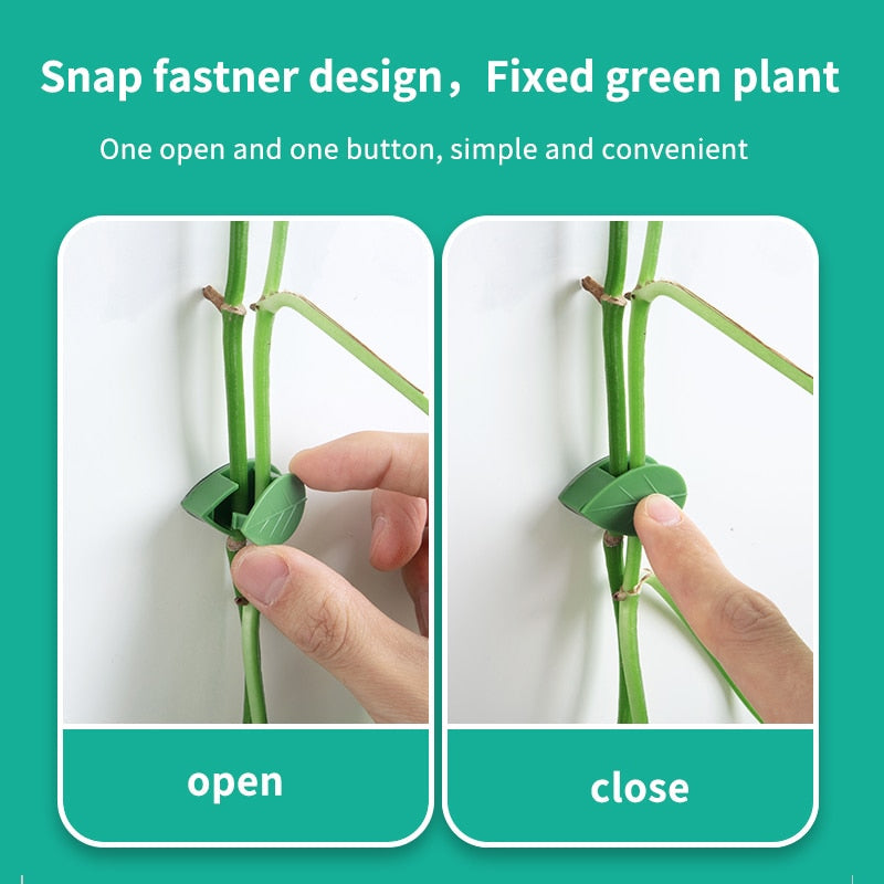 Adhesive Plant Climbing Wall Clips