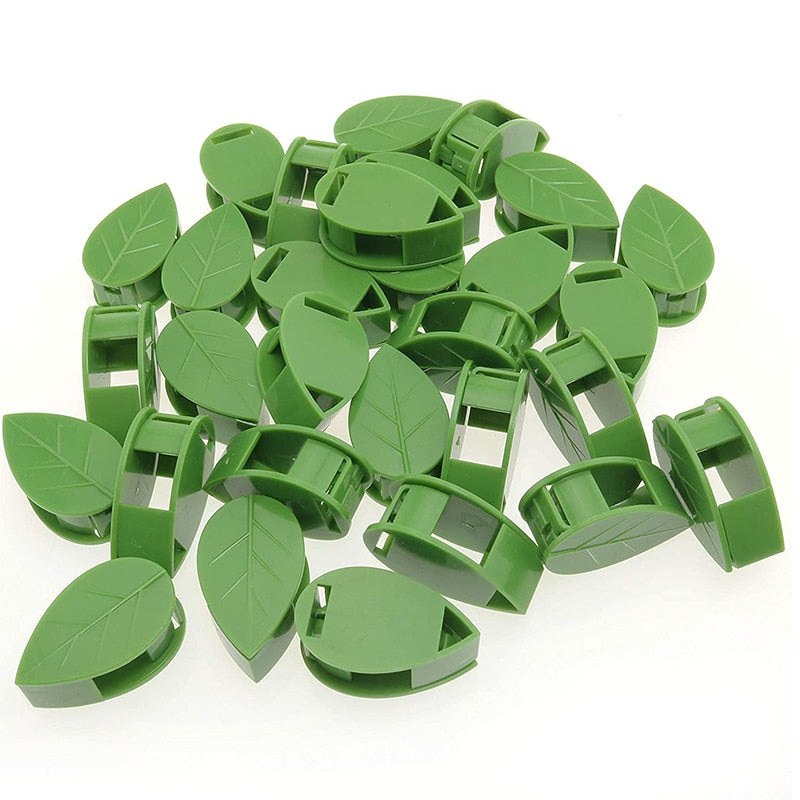 Adhesive Plant Climbing Wall Clips