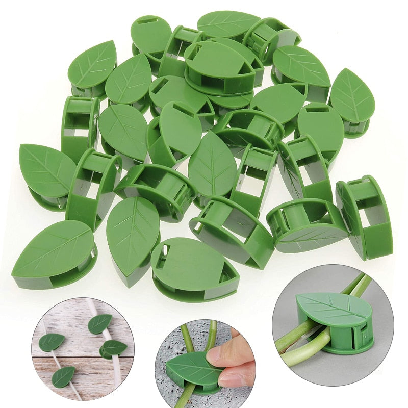 Adhesive Plant Climbing Wall Clips