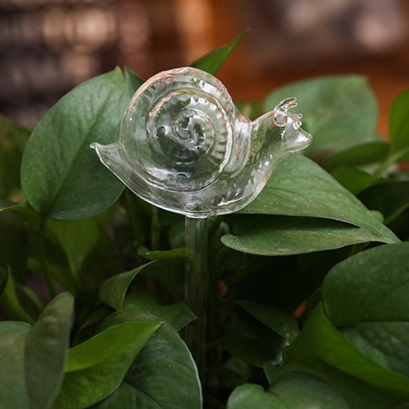 Glass Self-Watering Plant Bulb (Set)