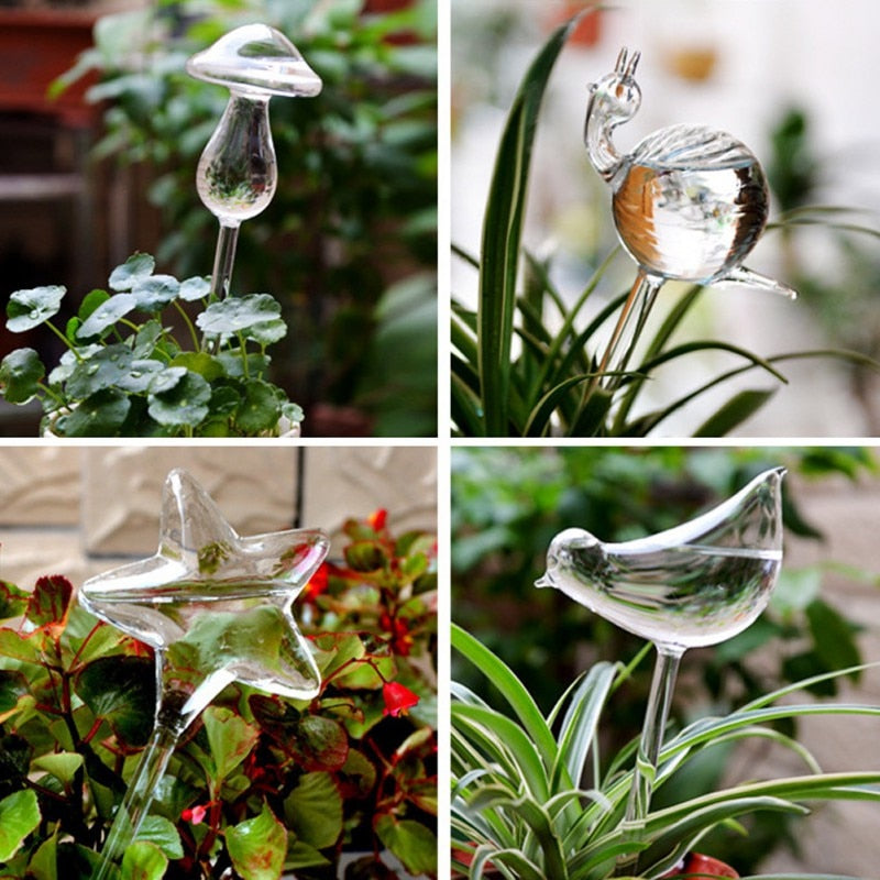 Glass Self-Watering Plant Bulb (Set)