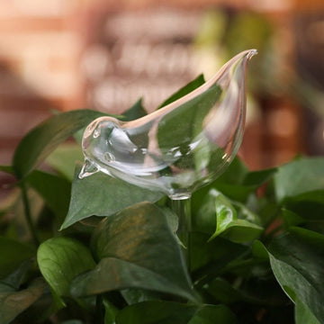 Glass Self-Watering Plant Bulb (Set)