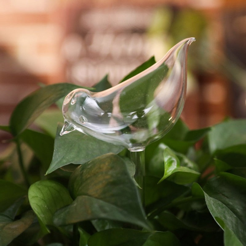 Glass Self-Watering Plant Bulb (Set)