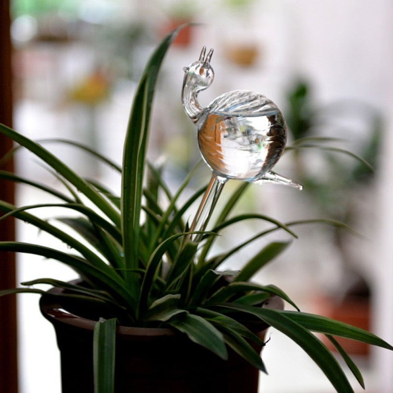 Glass Self-Watering Plant Bulb (Set)
