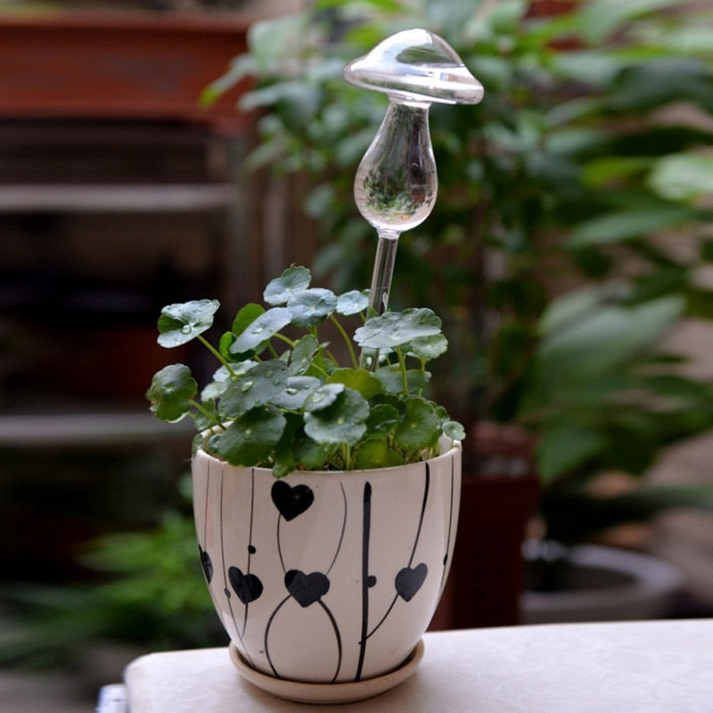 Glass Self-Watering Plant Bulb (Set)