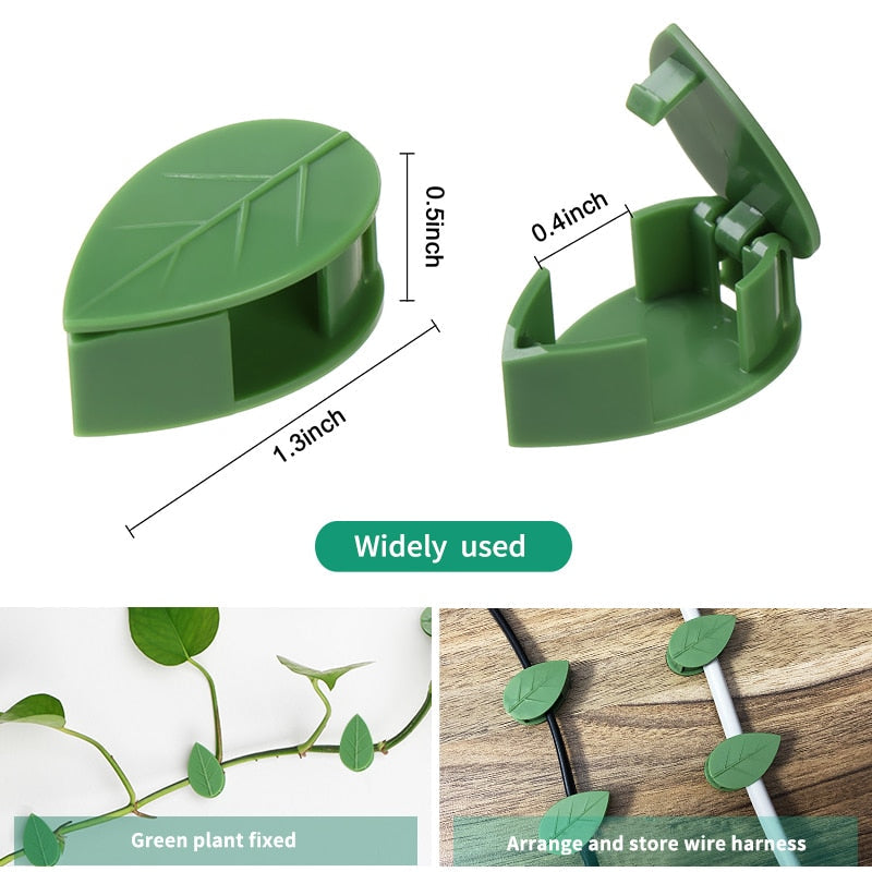 Adhesive Plant Climbing Wall Clips