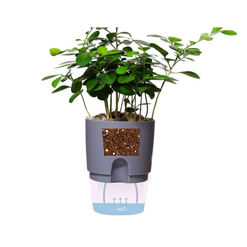 Self-Watering Planter Set (3 Pieces) with Automatic Irrigation