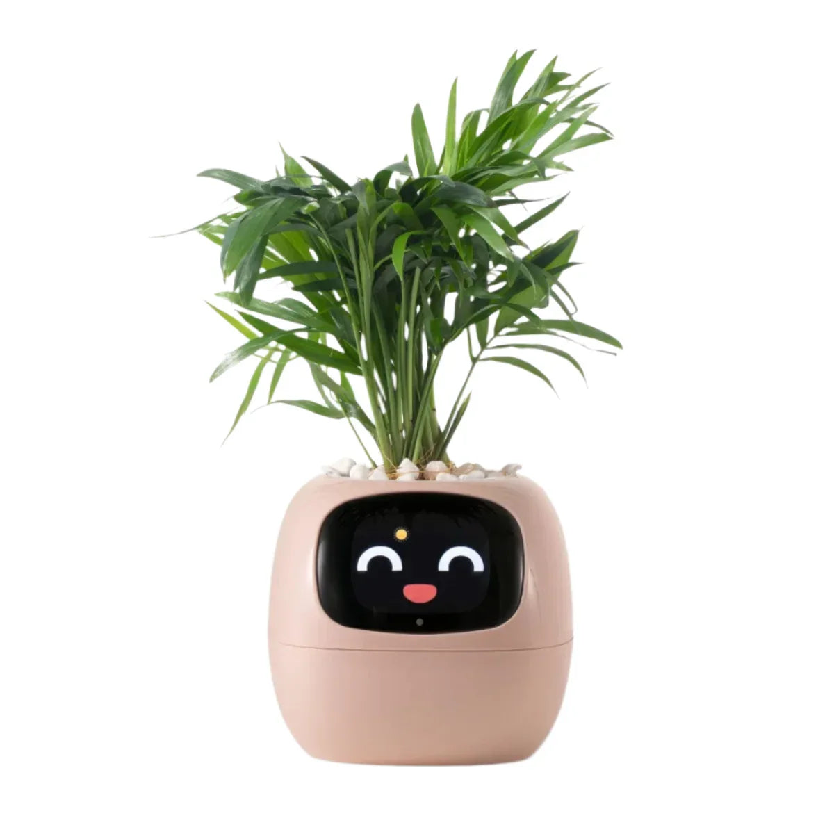 Smart Self-Watering Ivy Planter with LED