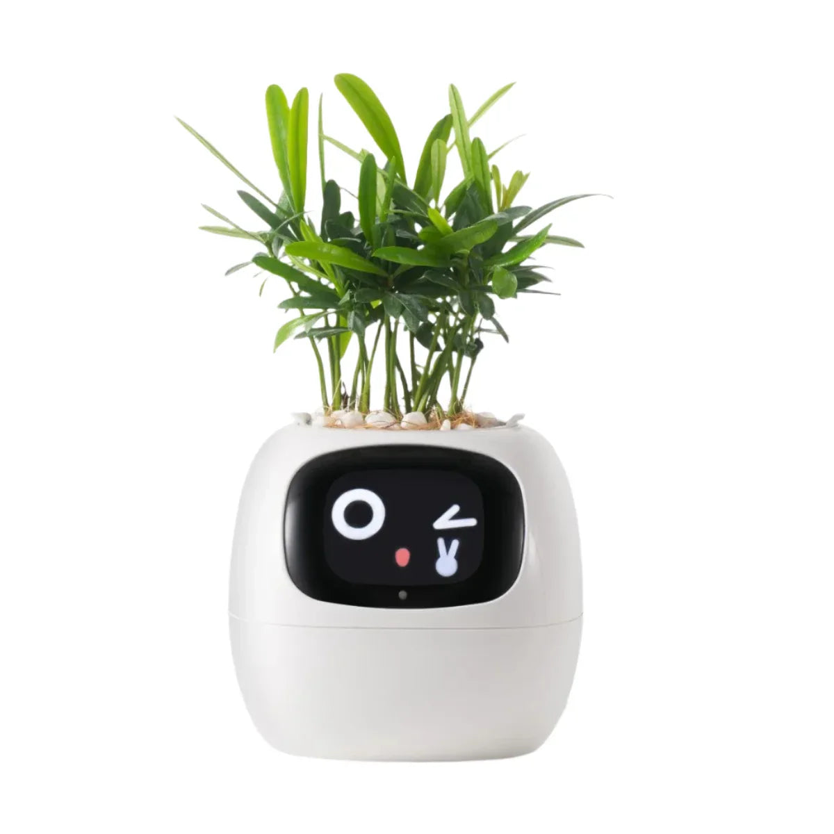 Smart Self-Watering Ivy Planter with LED