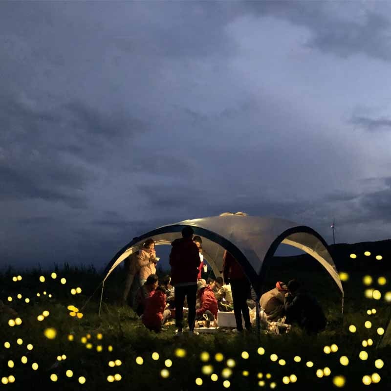 Solar Firefly Pathway Lights (Warm Glow)
