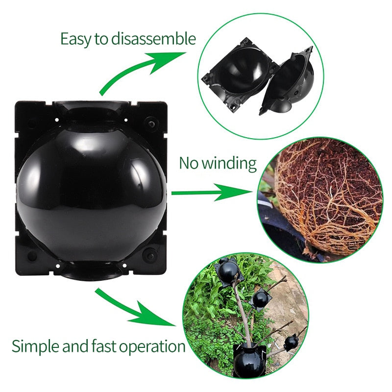 Root Propagation Balls for Plant Cloning