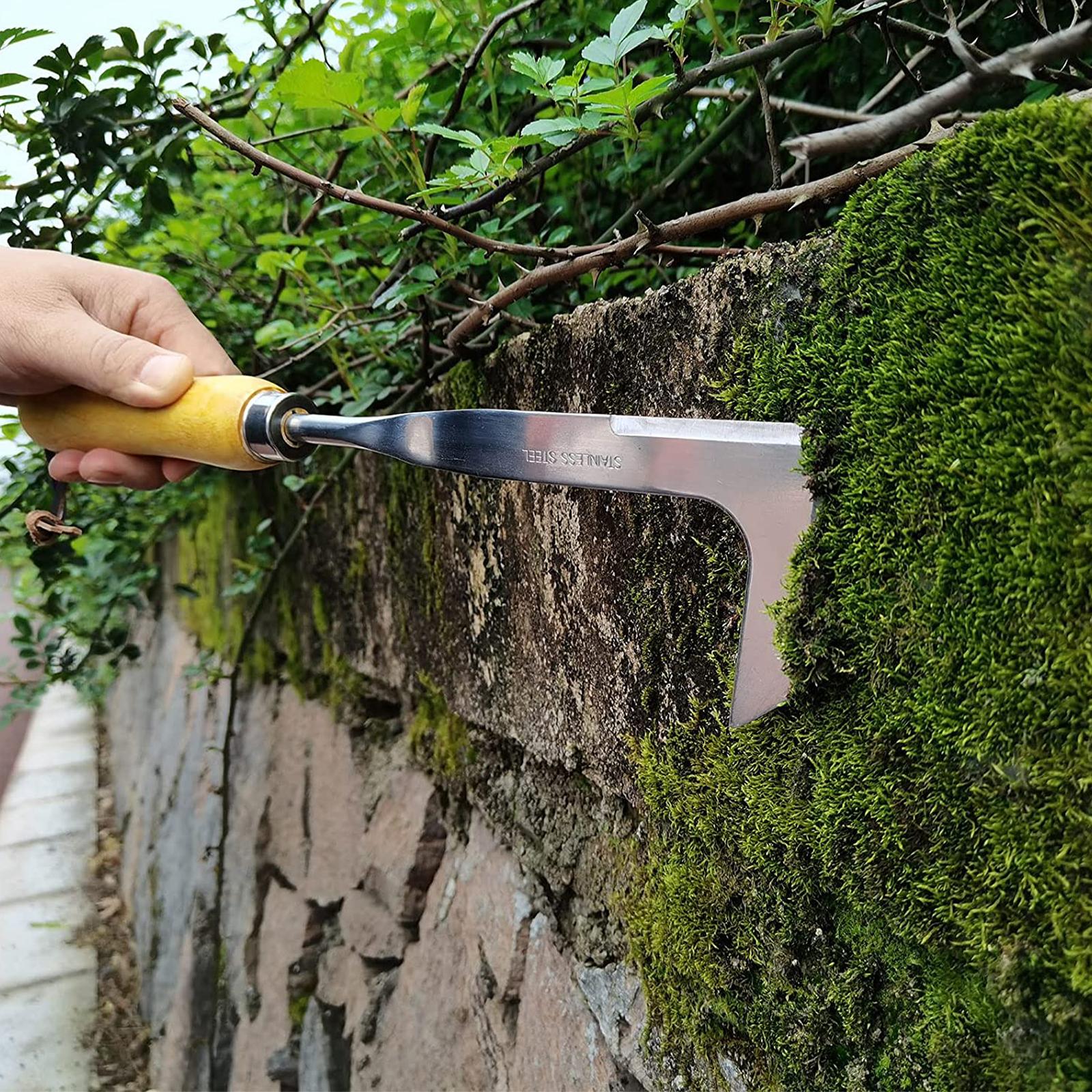 Precision Crevice Weeder & Slicing Tool