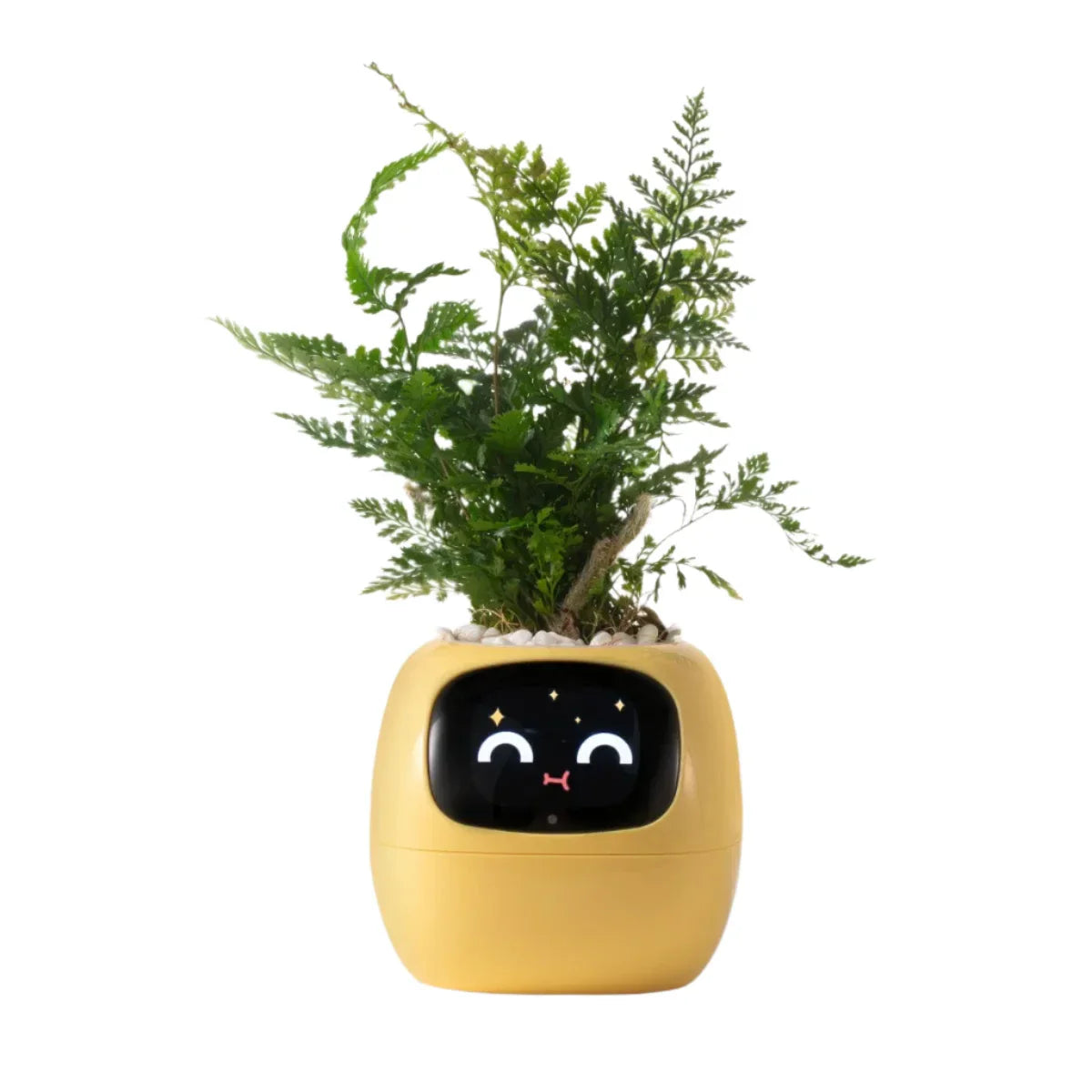 Smart Self-Watering Ivy Planter with LED