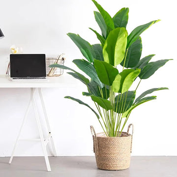Faux Tropical Palm Tree (Indoor/Outdoor)