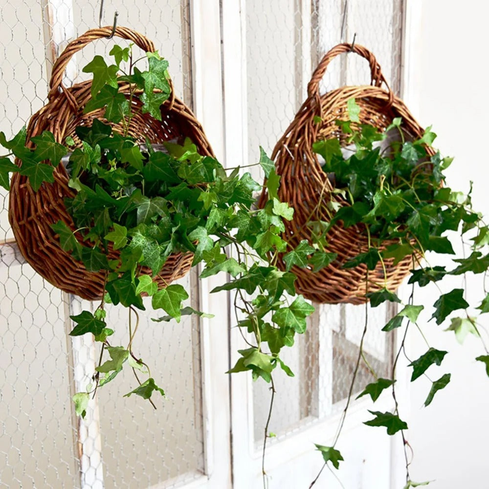 Woven Rattan Wall-Mounted Hanging Planter