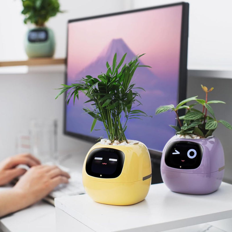 Smart Self-Watering Ivy Planter with LED
