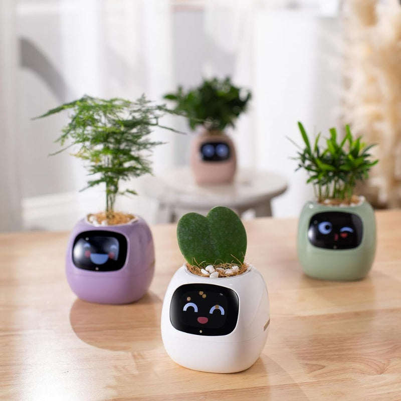 Smart Self-Watering Ivy Planter with LED