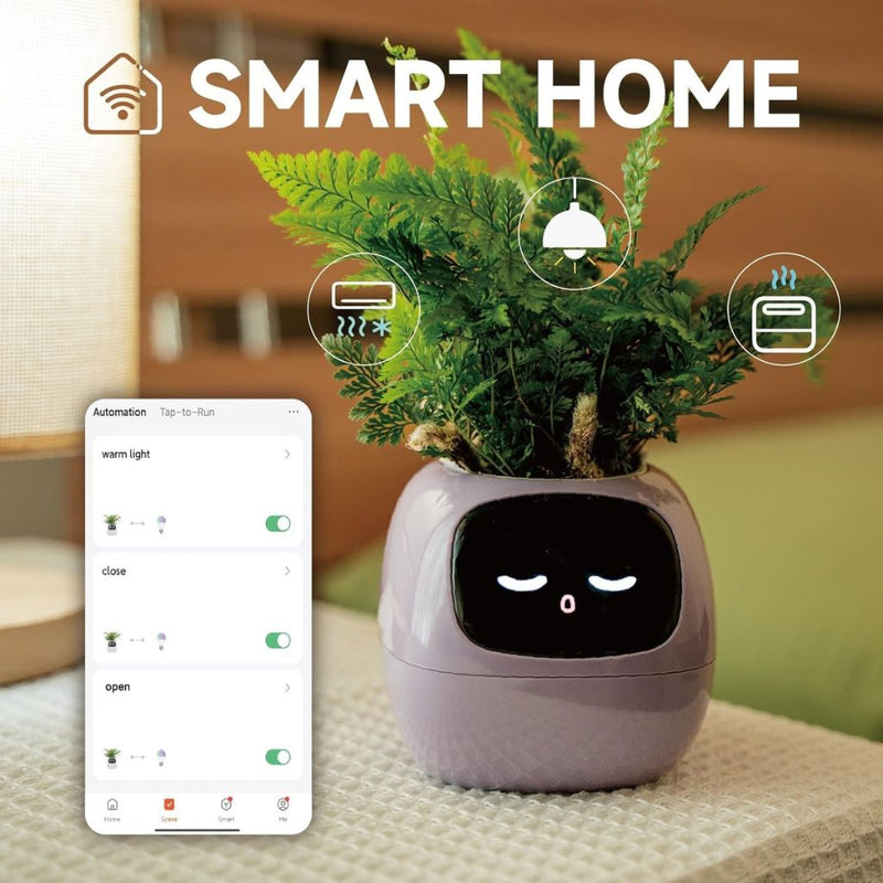 Smart Self-Watering Ivy Planter with LED