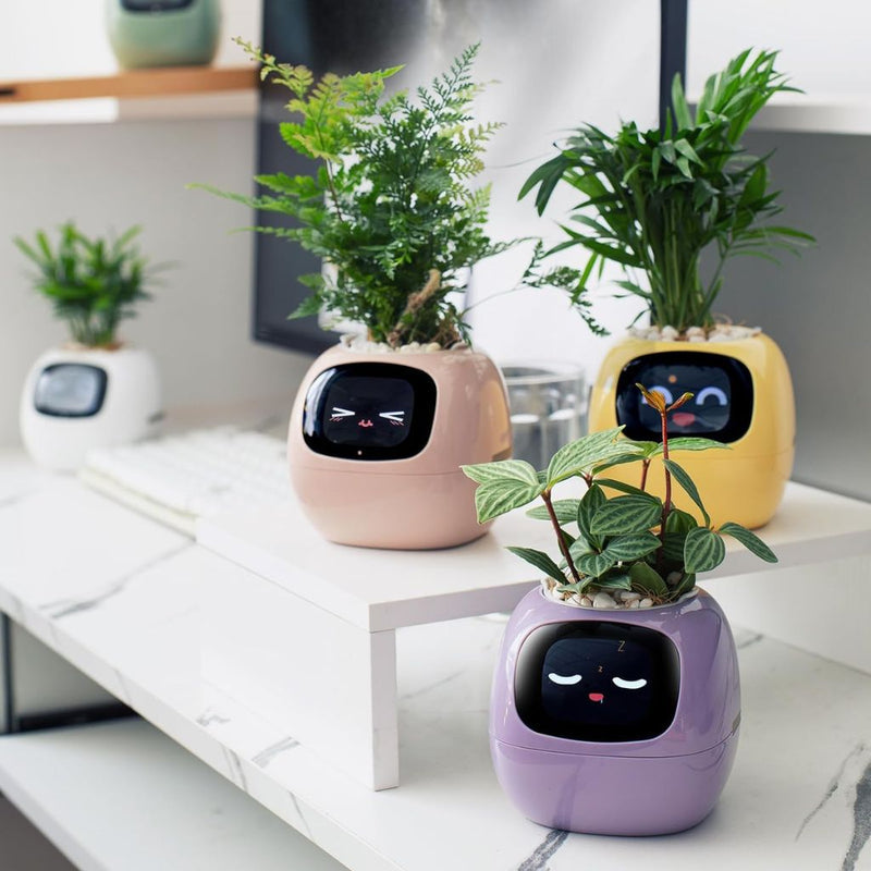 Smart Self-Watering Ivy Planter with LED