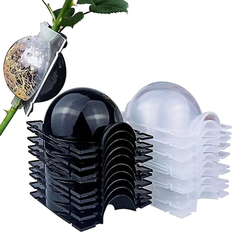 Root Propagation Balls for Plant Cloning
