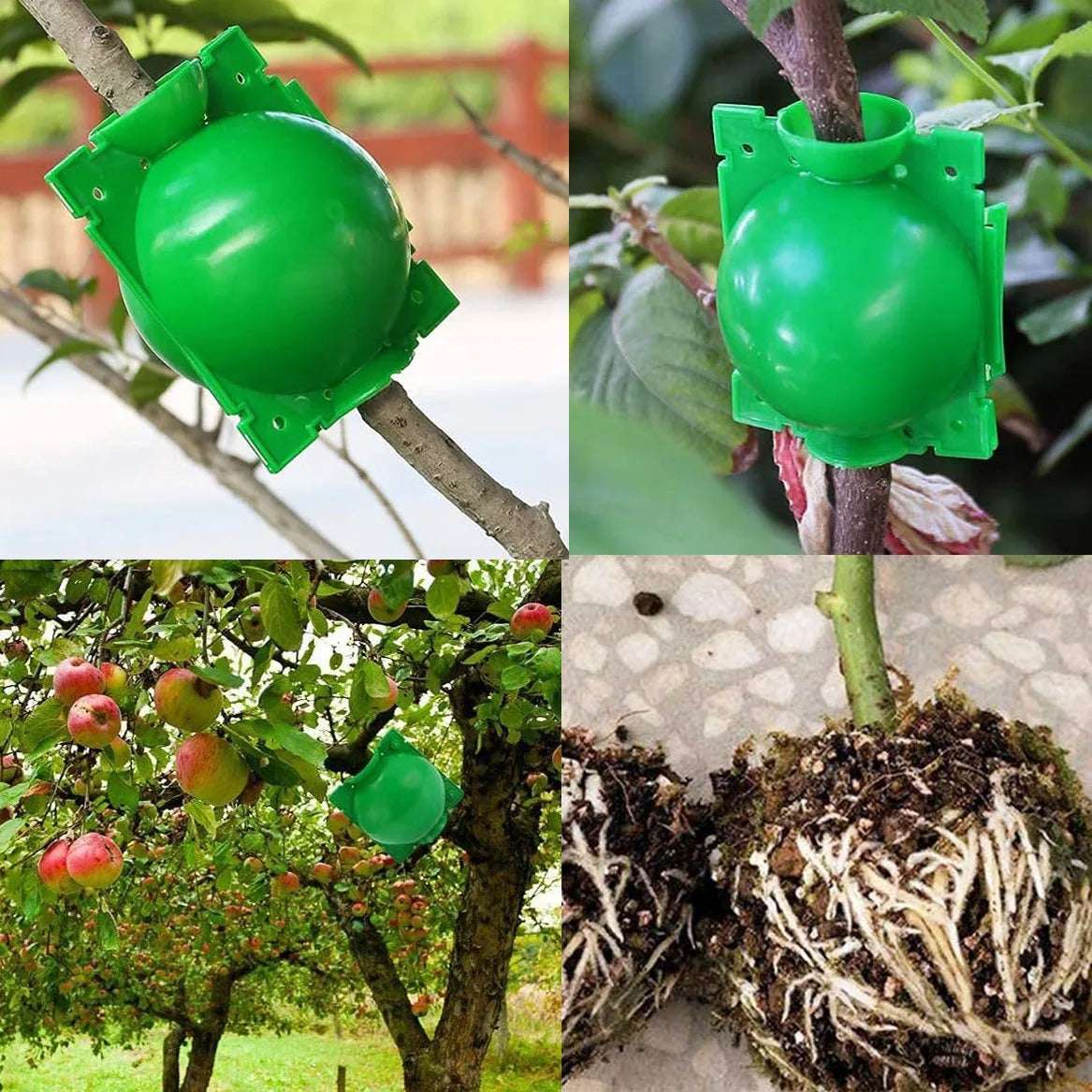 Root Propagation Balls for Plant Cloning