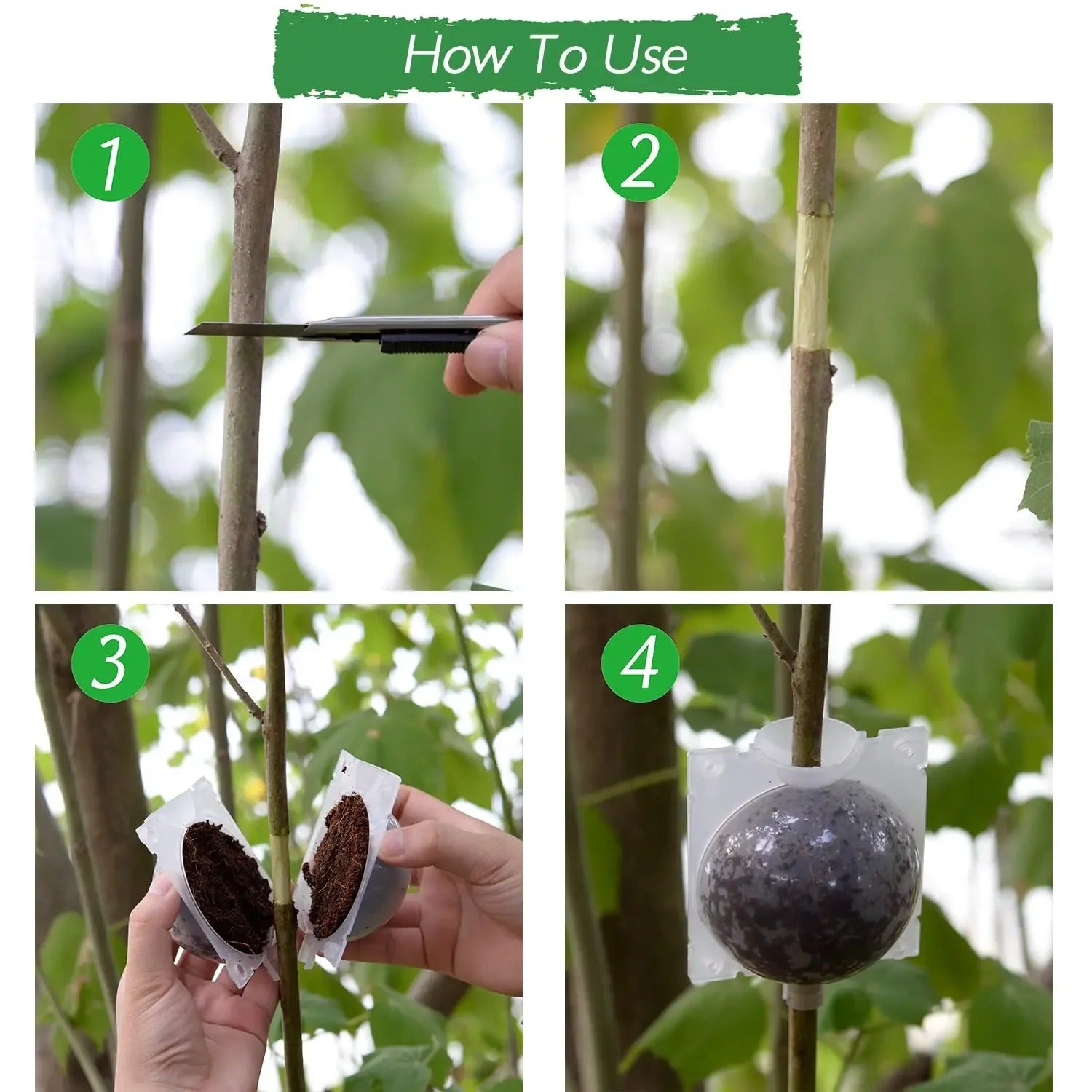 Root Propagation Balls for Plant Cloning
