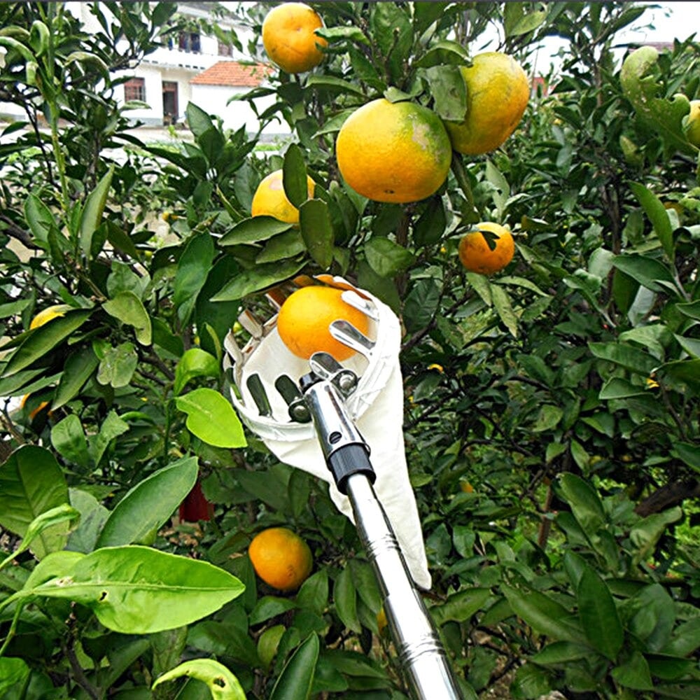 Telescopic Fruit Picker Basket Head