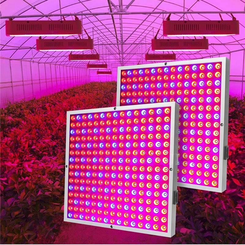 Full Panel LED Grow Light for Houseplants