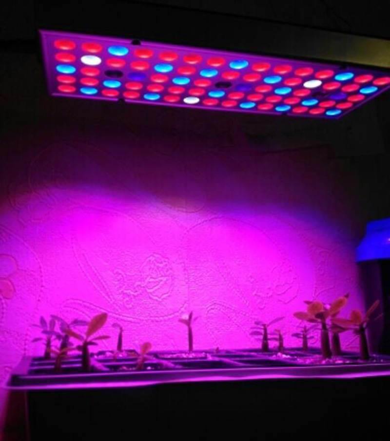 Full Panel LED Grow Light for Houseplants