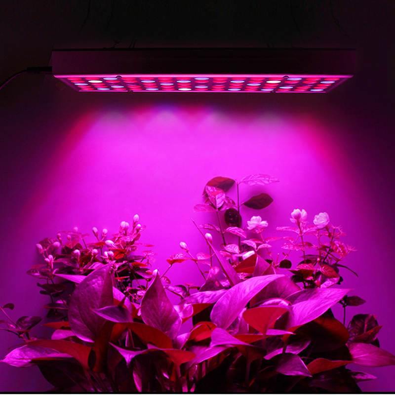 Full Panel LED Grow Light for Houseplants