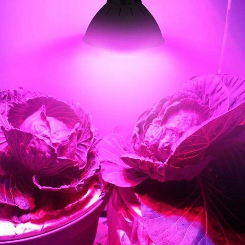 LED Full Spectrum Indoor Plant Grow Light