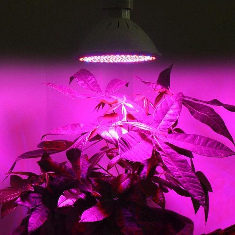 LED Full Spectrum Indoor Plant Grow Light