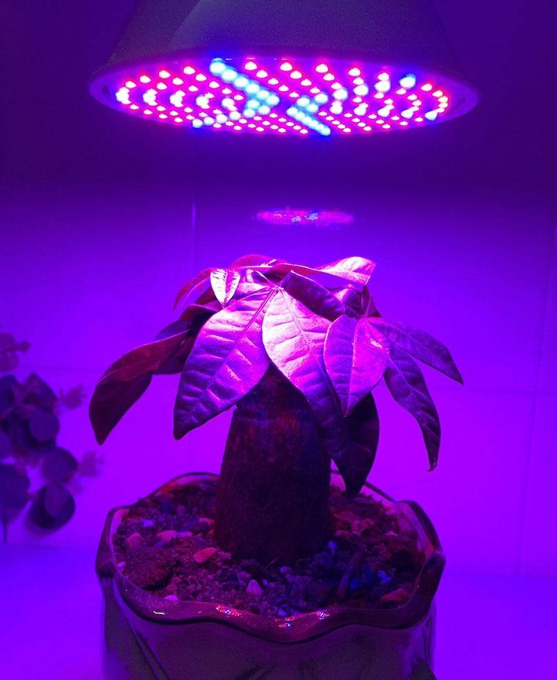 LED Full Spectrum Indoor Plant Grow Light