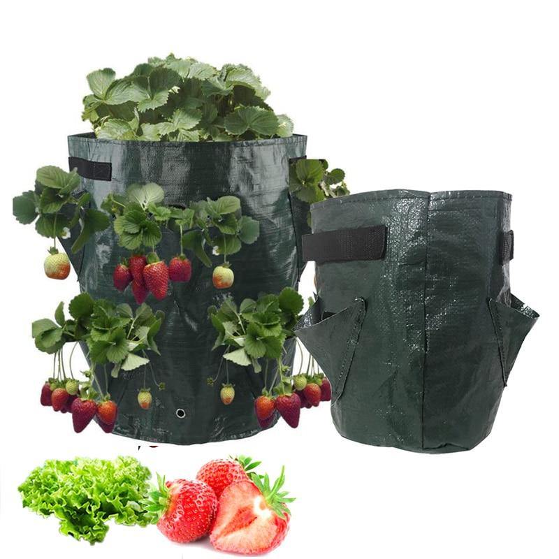 Strawberry Hanging Grow Bag with Pockets