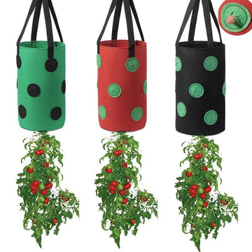 Vertical Strawberry Growing Bags (Set of 3)