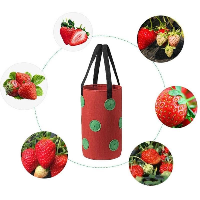 Vertical Strawberry Growing Bags (Set of 3)