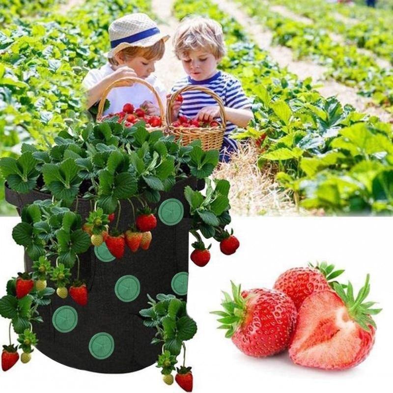 Vertical Strawberry Growing Bags (Set of 3)