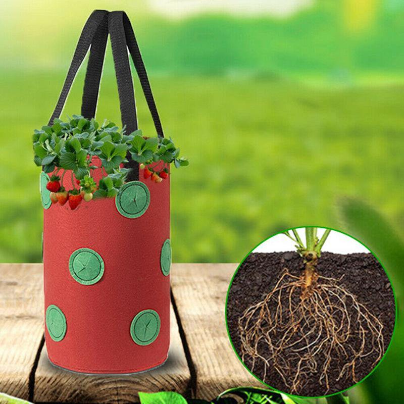 Vertical Strawberry Growing Bags (Set of 3)