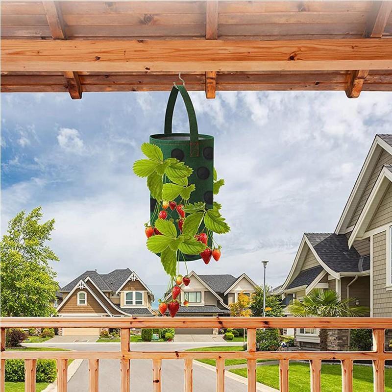 Vertical Strawberry Growing Bags (Set of 3)