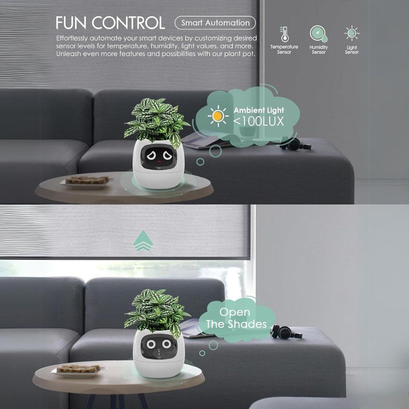 Smart Self-Watering Ivy Planter with LED