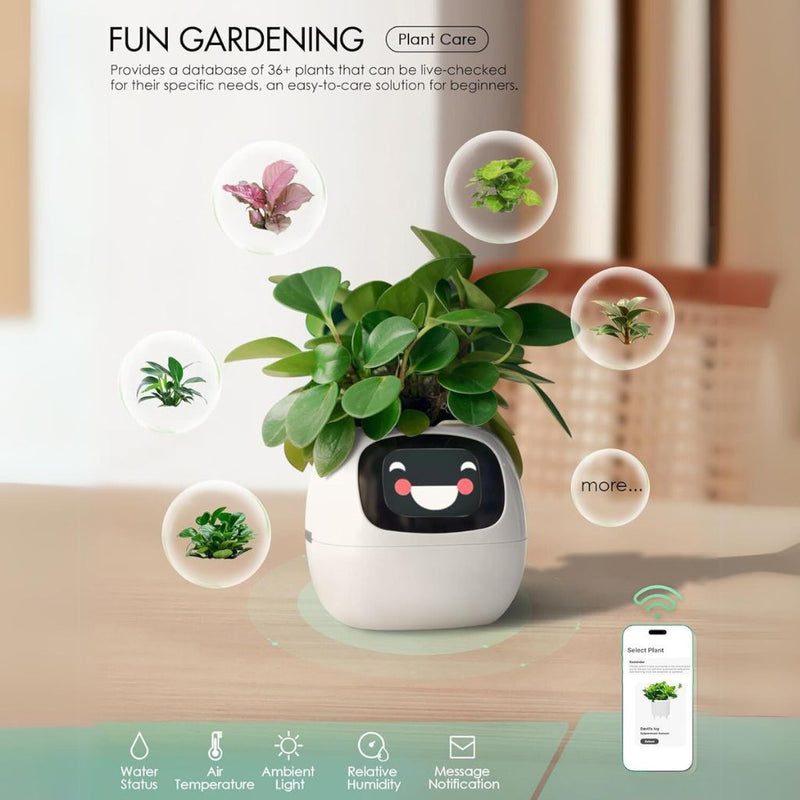 Smart Self-Watering Ivy Planter with LED